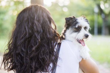 Beyaz arkaplanda yalıtılmış çilek meyvesi