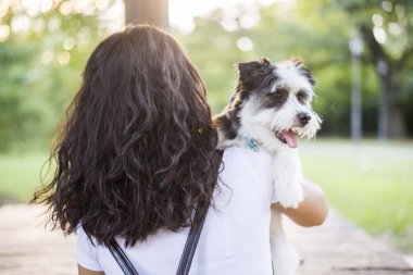 Beyaz arkaplanda yalıtılmış çilek meyvesi