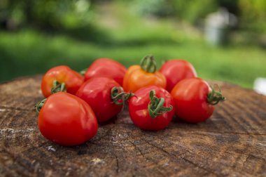 Bir grup olgun, kırmızı, çiğ çilekli domates yeşil doğal arka planda ahşap, lezzetli, sağlıklı sebzeler.