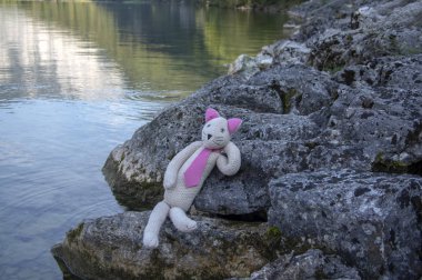 Avusturalya Alpleri 'ndeki Hallstatt Gölü' nün yanındaki taşların üzerinde dinlenen artı kedi.