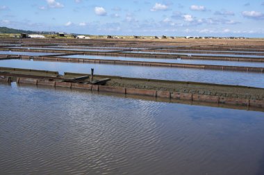 Secovlje Saltworks Slovenya Piran 'daki en büyük Slovenya tuz buharlaştırma göleti, Adratik deniz, doğal ve sanayi manzarası