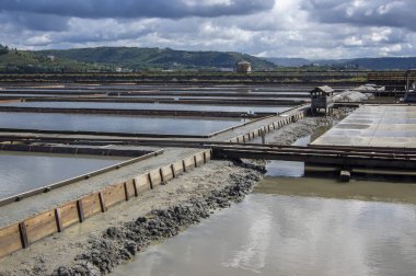 Secovlje Saltworks Slovenya Piran 'daki en büyük Slovenya tuz buharlaştırma göleti, Adratik deniz, doğal ve sanayi manzarası