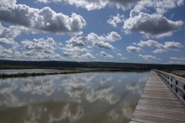 Secovlje Saltworks en büyük Slovenya tuz buharlaştırma göleti Adratik deniz, Slovenya 'da doğal ve endüstriyel manzara, Piran kasabası yakınlarındaki tuz madenleri
