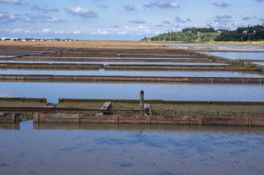 Secovlje Saltworks Slovenya Piran 'daki en büyük Slovenya tuz buharlaştırma göleti, Adratik deniz, doğal ve sanayi manzarası