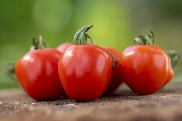 Grupo Tomates Morango Crus Vermelhos Saborosos Amadurecidos Solanum Lycopersicum Madeira — Fotografia de Stock