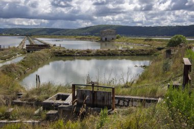 Secovlje Saltworks en büyük Slovenya tuz buharlaştırma göleti Adratik deniz, Slovenya 'da doğal ve endüstriyel manzara, Piran kasabası yakınlarındaki tuz madenleri