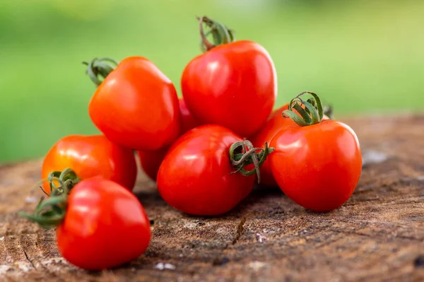 Grupo Tomates Morango Crus Vermelhos Saborosos Amadurecidos Solanum Lycopersicum Madeira — Fotografia de Stock