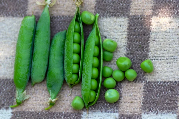 Pisum Sativum Erbsengrüne Früchte Grünen Schoten Auf Braunem Hintergrund Schmackhafte — Stockfoto