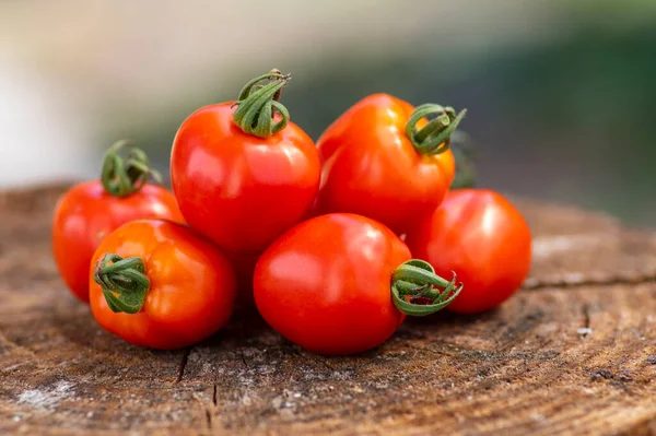 Grupo Tomates Morango Crus Vermelhos Saborosos Amadurecidos Solanum Lycopersicum Madeira — Fotografia de Stock