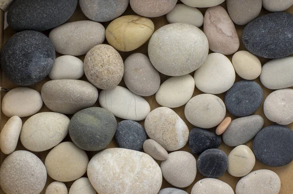 White Grey Pink Pebbles Simple Background Simplicity Group Stones One — Stock Photo, Image