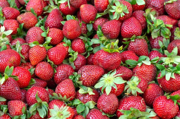 Strawberry. Fresh organic berries macro. Fruit background,