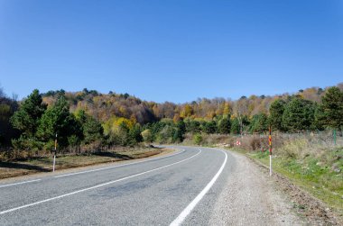 Ormanda ve asfalt yolda sonbahar manzarası.