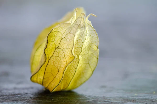 Physalis peruviana tai Cape karviainen hedelmiä puinen pöytä — kuvapankkivalokuva