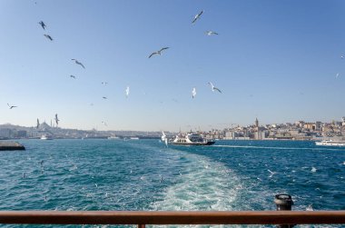 İstanbul Boğazı ve Galata Köprüsü ve feribot ve martılar