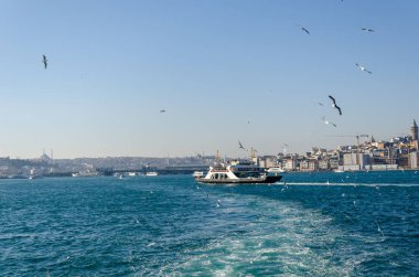 İstanbul Boğazı ve Galata Köprüsü ve feribot ve martılar