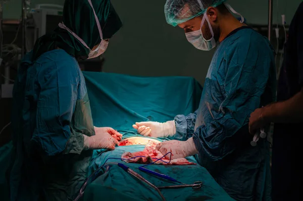 Ginecólogo Médico Femenino Está Cosiendo Piel Después Cirugía —  Fotos de Stock