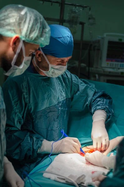 Confident surgeon is operating a patient in an operating theater in a hospital