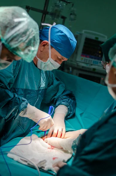 Médico Concentrado Asistente Enfermero Paciente Durante Una Histerectomía Hospital Está —  Fotos de Stock