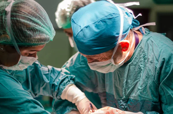 Médico Asistente Concentrados Durante Una Histerectomía Hospital —  Fotos de Stock