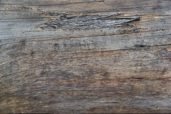 ahşap doku resimleri