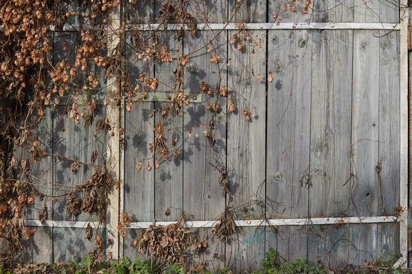 ahşap doku resimleri