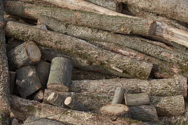 ahşap doku resimleri