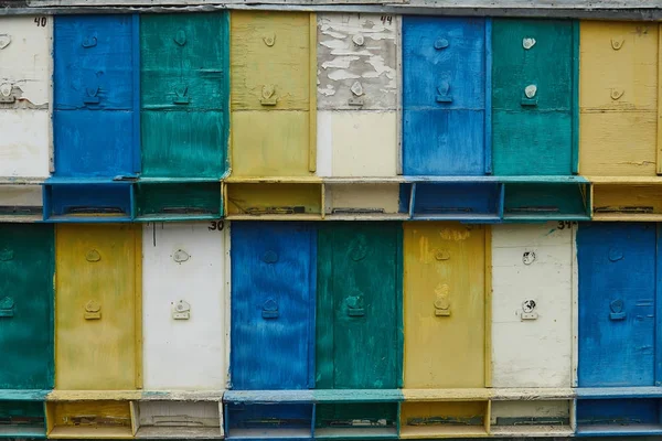 ahşap doku resimleri