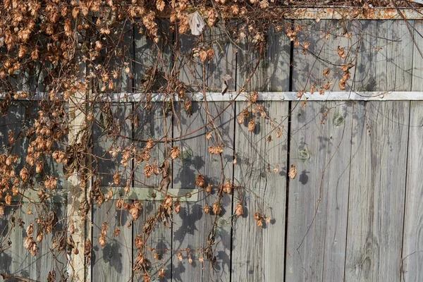 ahşap doku resimleri