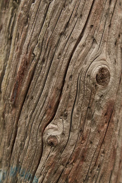 ahşap doku resimleri