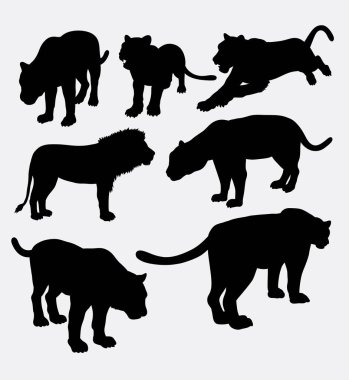 Aslan, panter ve puma siluet