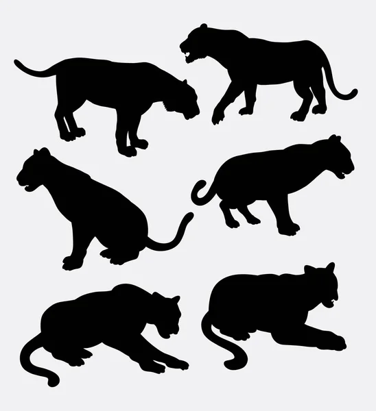 Tiger wild animal silhouette — Stock Vector