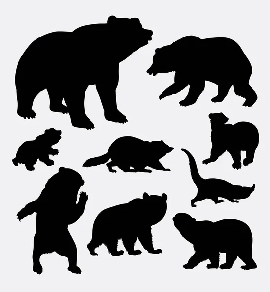 Bär und Waschbär wilde Tiersilhouette — Stockvektor