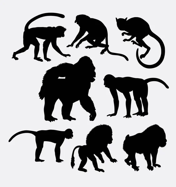 Monkey, gorilla, and baboon animal silhouette — Stock Vector