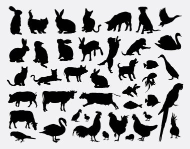 Evde beslenen hayvan hayvan Silhouettes 