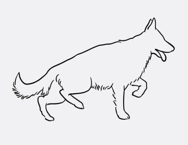 Alman çoban köpeği hat sanat resim