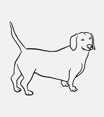 Teckel köpek çizgi sanat el çizimi
