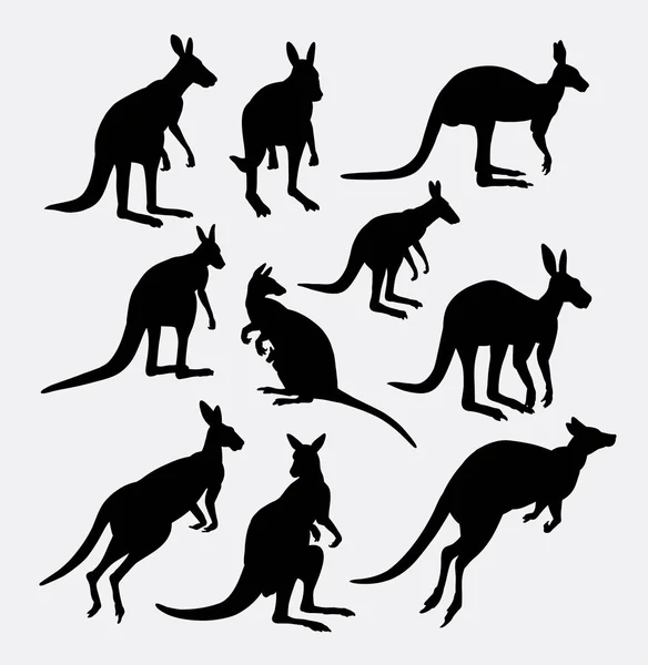 Kanguru tindakan siluet hewan - Stok Vektor