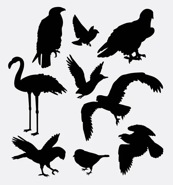 Bird animal collection silhouette — Stock Vector