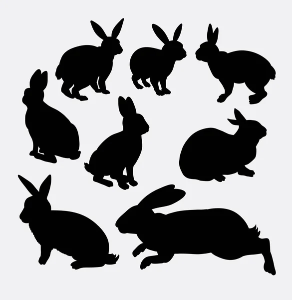 Rabbit funny and cute animal silhouette — Stock Vector