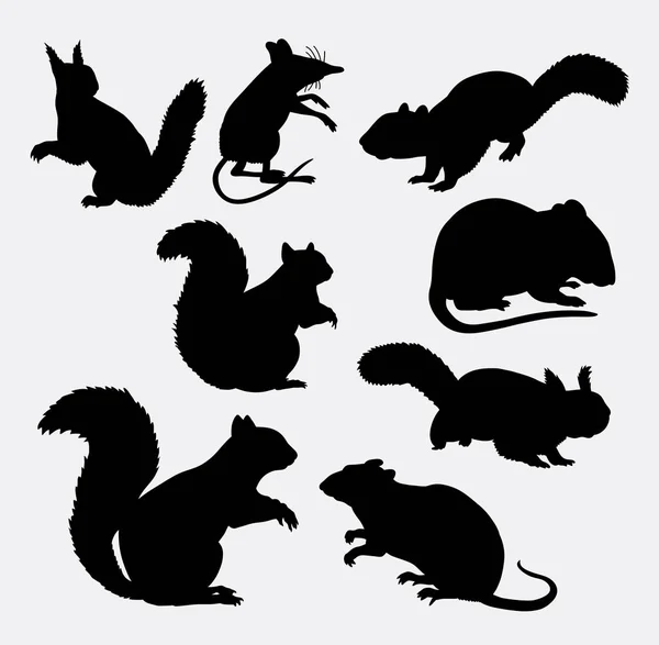 Sílhueta animal de mamífero de esquilo e rato — Vetor de Stock