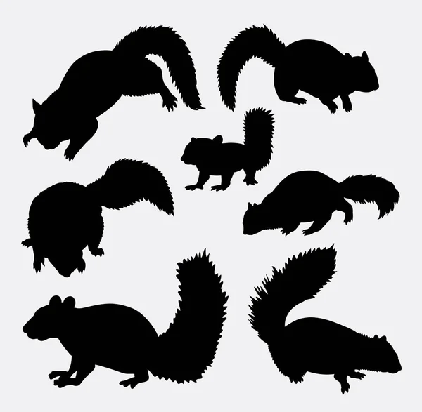 Eichhörnchen Säugetier Silhouette — Stockvektor