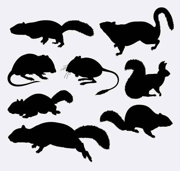 Tupai, tikus dan tikus siluet hewan - Stok Vektor