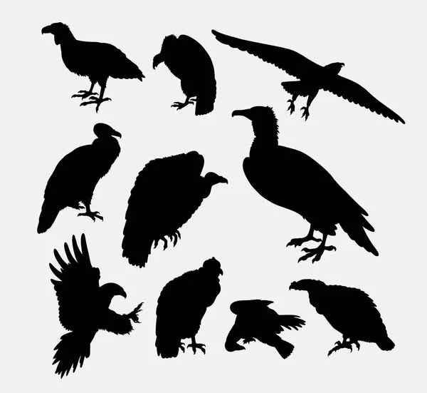 Cóndor, buitre y silueta de pájaro águila — Vector de stock