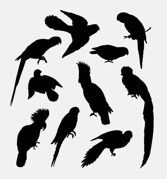 Kaketoes, papegaai, vogel dierlijke silhouet. — Stockvector