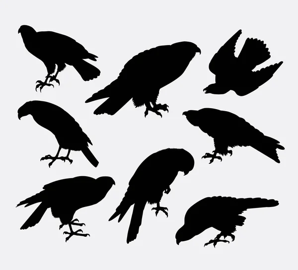 Eagle, falcon, hawk bird animal silhouette — Stock Vector