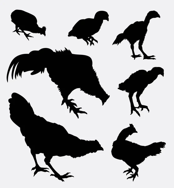 Sílhueta animal de aves de capoeira de galinha e galo — Vetor de Stock