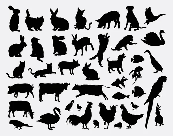 Pet animal silhouettes — Stock Vector