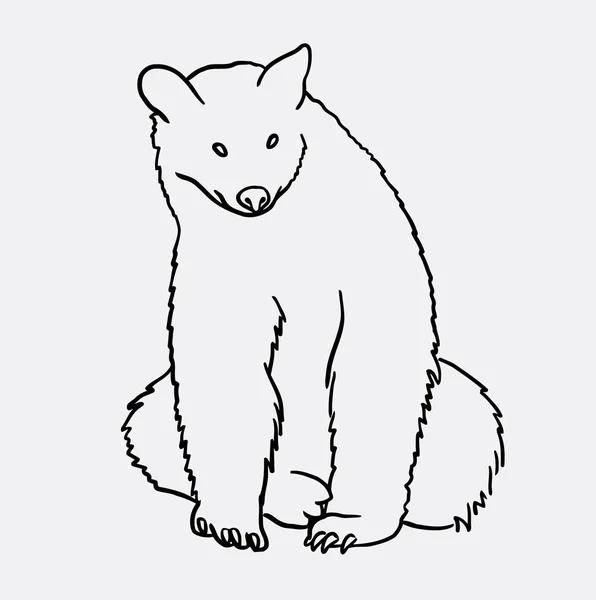 Oso animal salvaje línea mamífero dibujo de arte — Vector de stock