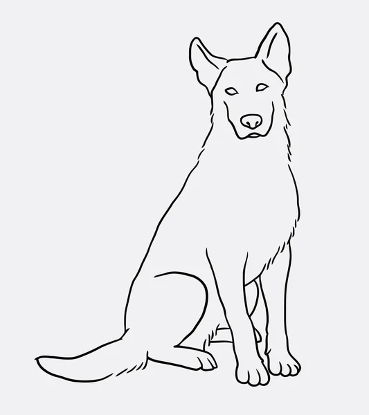 German shepherd sitting pet dog line art drawing — Stock Vector