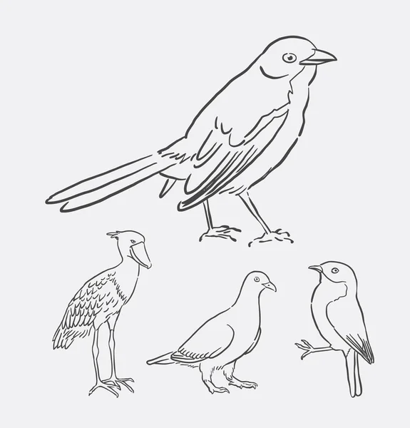 Vogel Tier Linie Kunst Zeichnung — Stockvektor